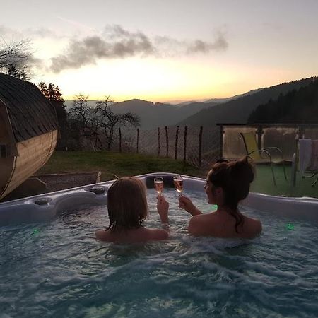 Ferienhaus Wendelinus Mit Pool & Sauna Hausach Εξωτερικό φωτογραφία